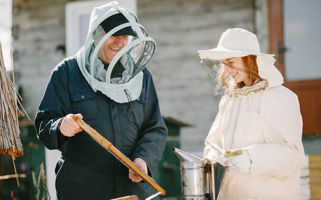 Beekeeper: How To Find Your Perfect Queen Bee
